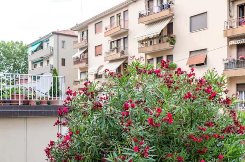 Monti Guesthouse 梅斯特雷 客房 照片